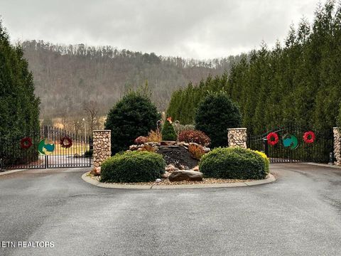 Photo of 133 River Rapids Way, Del Rio, TN 37727 (MLS # 1325438)