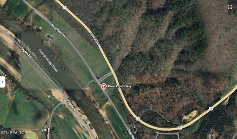 Tiny photo for 133 River Rapids Way, Del Rio, TN 37727 (MLS # 1325438)
