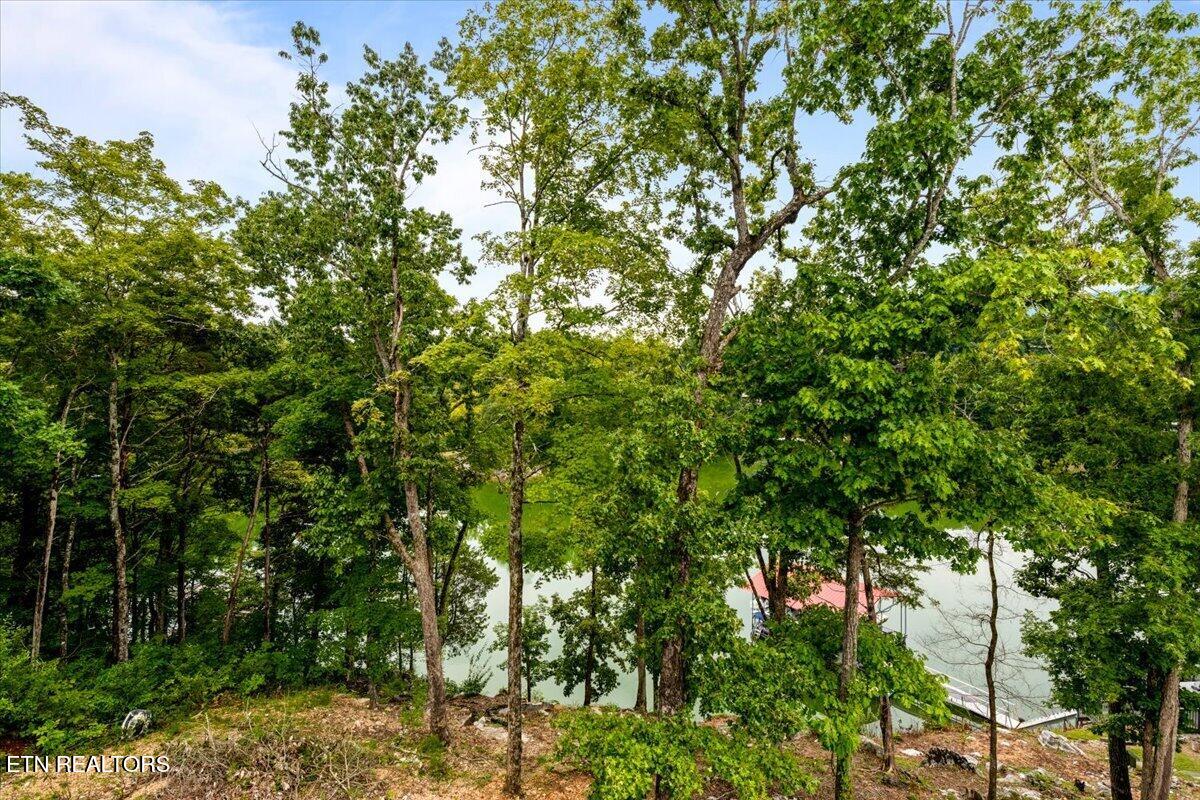 114 Bluff Trace Trace