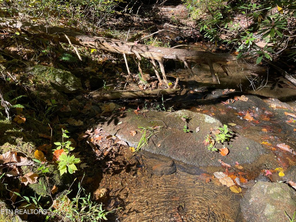 Photo of 16 Steer Creek Rd, Tellico Plains, TN 37385 (MLS # 1278810)