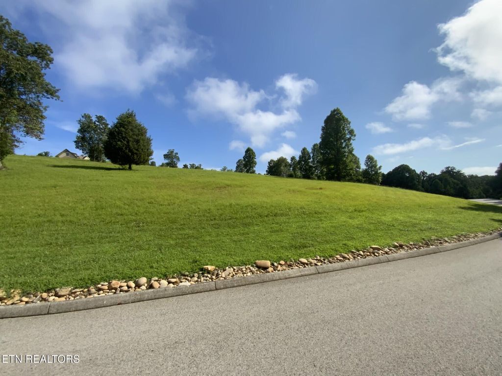 Photo of 156 Enclave Way, Kingston, TN 37763 (MLS # 1308382)