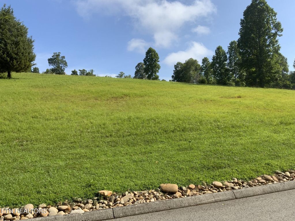 Photo of 156 Enclave Way, Kingston, TN 37763 (MLS # 1308382)
