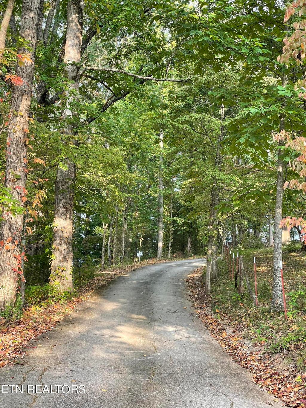 Photo of 180 Orchard Lane, Tazewell, TN 37879 (MLS # 1242551)