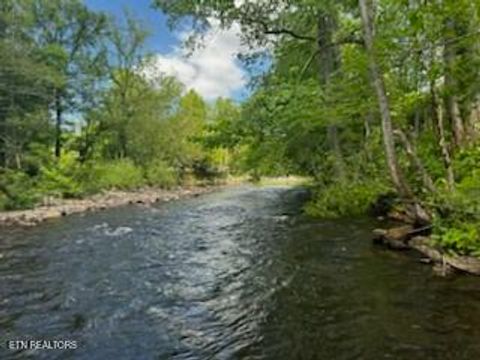 Photo of Riverview Rd, Townsend, TN 37882 (MLS # 1339007)