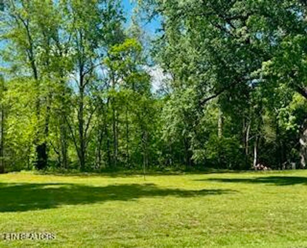 Photo of Riverview Rd, Townsend, TN 37882 (MLS # 1339007)