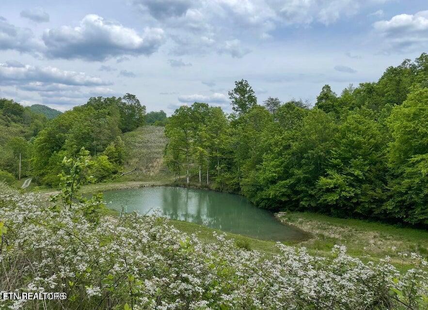 Photo of 3796 Highway 25E S, Tazewell, TN 37879 (MLS # 1351510)
