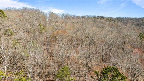 Tiny photo for 1.05ac Hiwassee View Drive, Jacksboro, TN 37757 (MLS # 1333696)