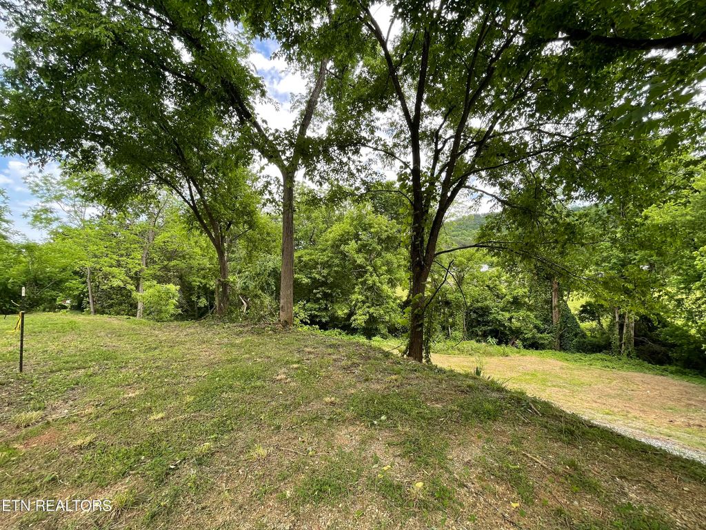 Photo of 567 Scott St, Tellico Plains, TN 37385 (MLS # 1263762)