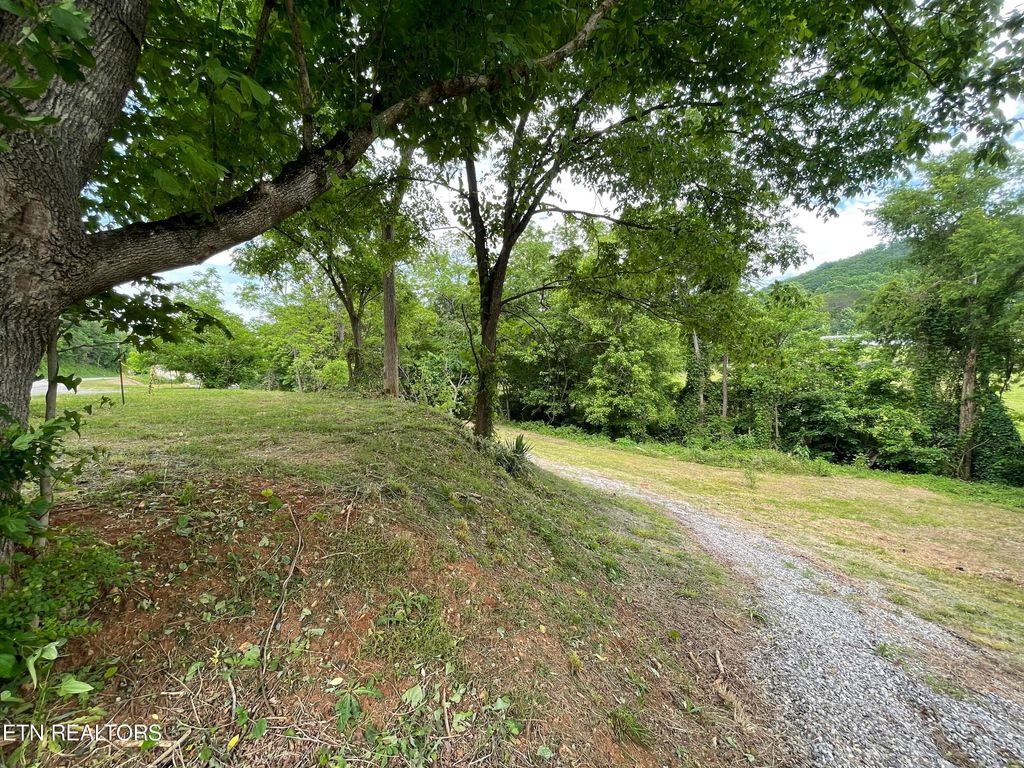 Photo of 567 Scott St, Tellico Plains, TN 37385 (MLS # 1263762)