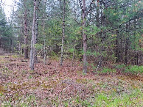 Photo of 927 Paola Drive, Crossville, TN 38572 (MLS # 1337730)