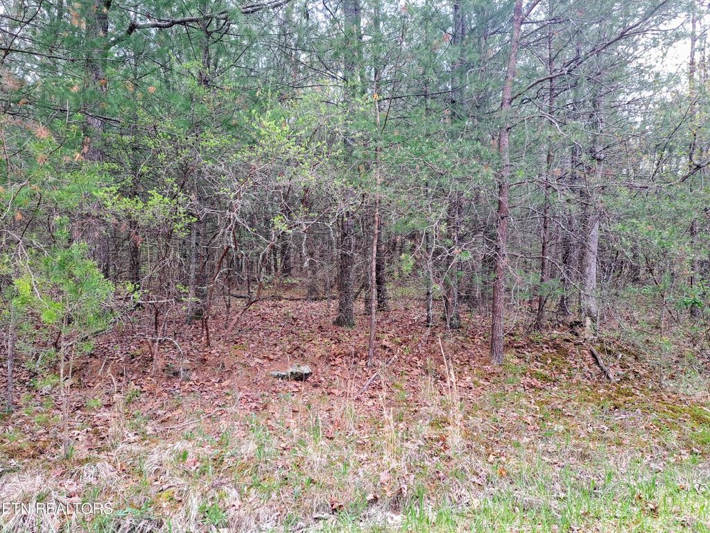 Photo of 927 Paola Drive, Crossville, TN 38572 (MLS # 1337730)