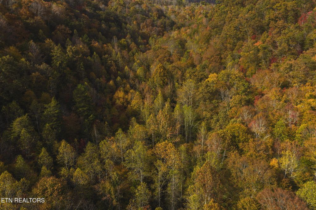 Photo of 161989 Lynn Flanary Rd, Blackwater, VA 24221 (MLS # 1326213)