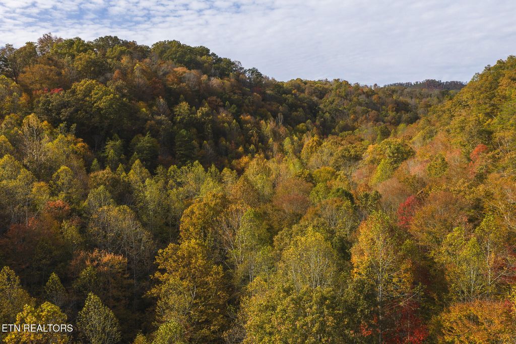 Photo of 161989 Lynn Flanary Rd, Blackwater, VA 24221 (MLS # 1326213)