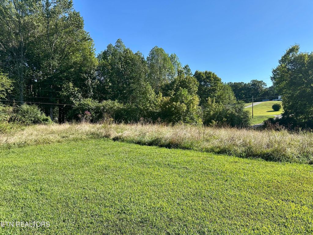 Photo of 117119 E C Noe Rd, Oliver Springs, TN 37840 (MLS # 1315292)