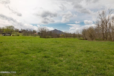 Tiny photo for Lot A Tarwater Lane, Sevierville, TN 37862 (MLS # 1359871)