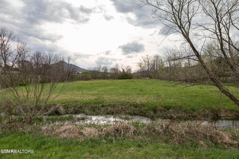 Tiny photo for Lot A Tarwater Lane, Sevierville, TN 37862 (MLS # 1359871)