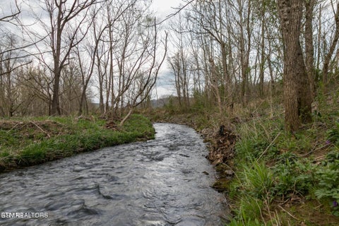 Tiny photo for Lot A Tarwater Lane, Sevierville, TN 37862 (MLS # 1359871)