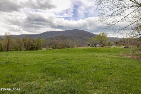 Tiny photo for Lot A Tarwater Lane, Sevierville, TN 37862 (MLS # 1359871)