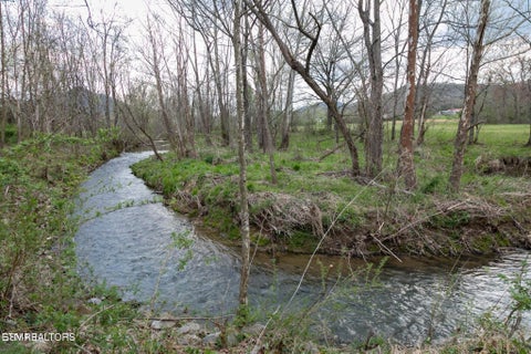 Tiny photo for Lot A Tarwater Lane, Sevierville, TN 37862 (MLS # 1359871)