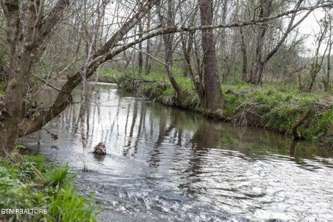 Tiny photo for Lot A Tarwater Lane, Sevierville, TN 37862 (MLS # 1359871)