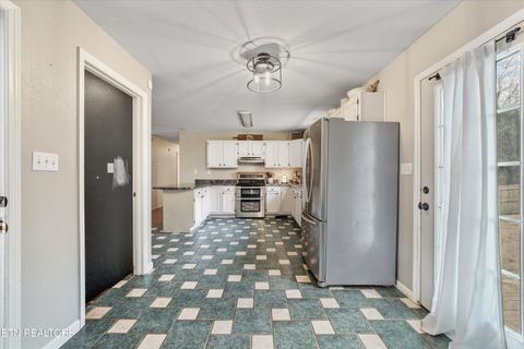 Tiny photo for 424 Sunrise Lane, Decatur, TN 37322 (MLS # 1326875)