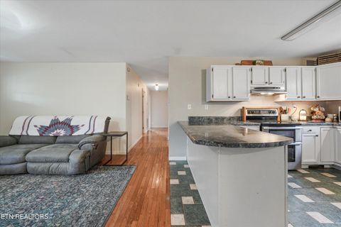 Tiny photo for 424 Sunrise Lane, Decatur, TN 37322 (MLS # 1326875)