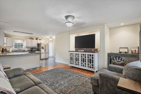 Tiny photo for 424 Sunrise Lane, Decatur, TN 37322 (MLS # 1326875)