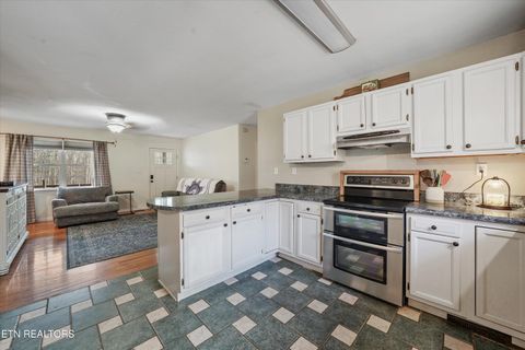 Tiny photo for 424 Sunrise Lane, Decatur, TN 37322 (MLS # 1326875)