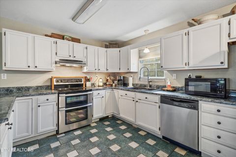 Tiny photo for 424 Sunrise Lane, Decatur, TN 37322 (MLS # 1326875)