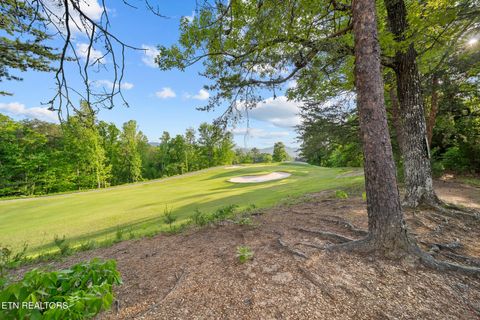 Tiny photo for 830 Golf View Blvd #UNIT 3106, Pigeon Forge, TN 37863 (MLS # 1298171)