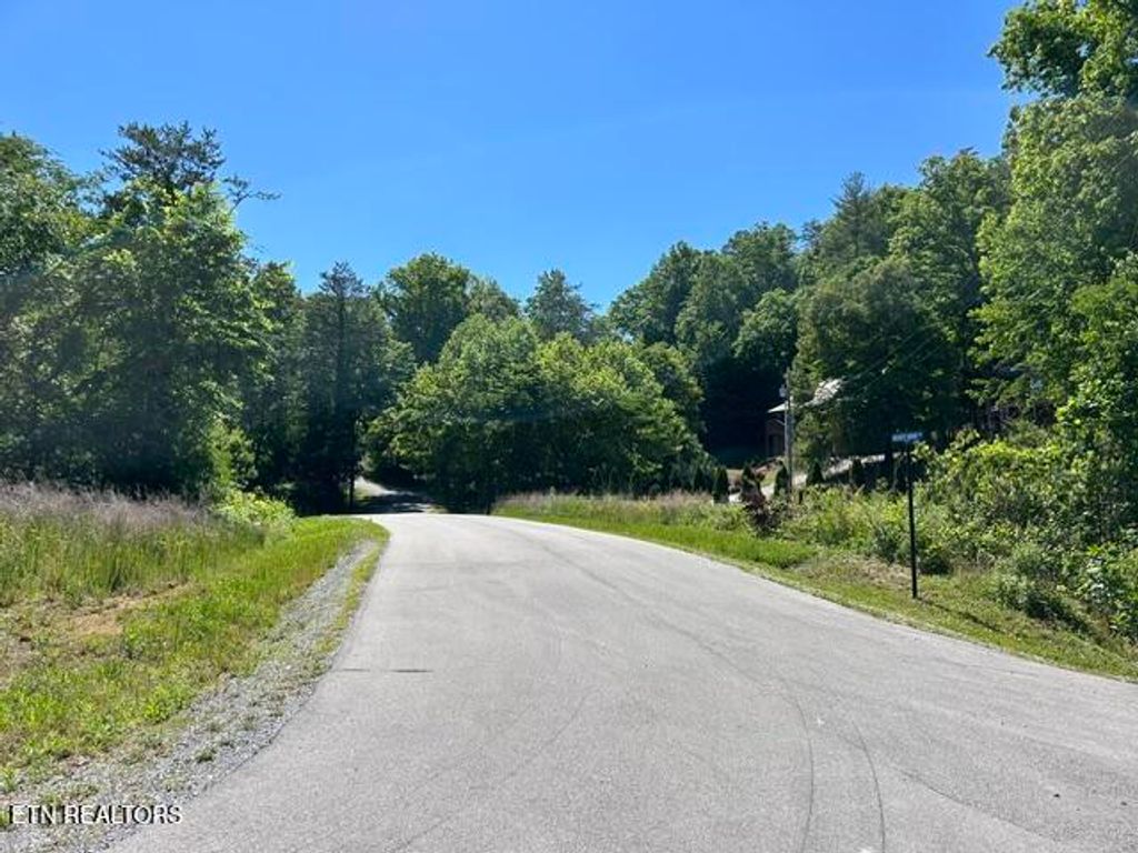 Photo of 325 Beckett Ridge Rd, Townsend, TN 37882 (MLS # 1341438)