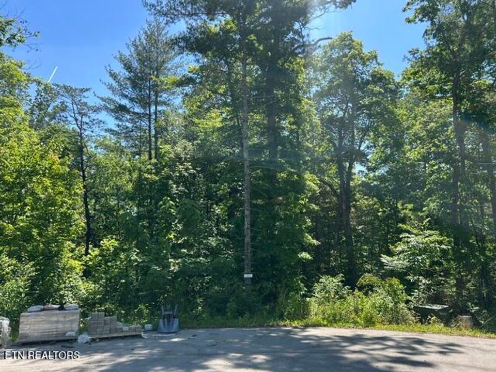 Photo of 325 Beckett Ridge Rd, Townsend, TN 37882 (MLS # 1341438)