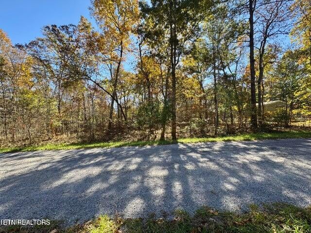 Photo of 4059 Saponac Drive, Crossville, TN 38572 (MLS # 1345066)