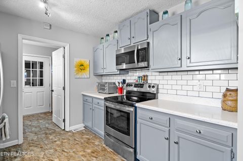 Tiny photo for 129 Clinch View Drive, Corryton, TN 37721 (MLS # 1330959)