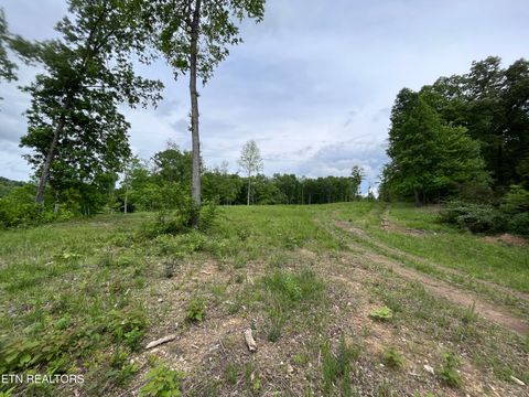 Tiny photo for 123 Ingle Lane, Tazewell, TN 37879 (MLS # 1325872)