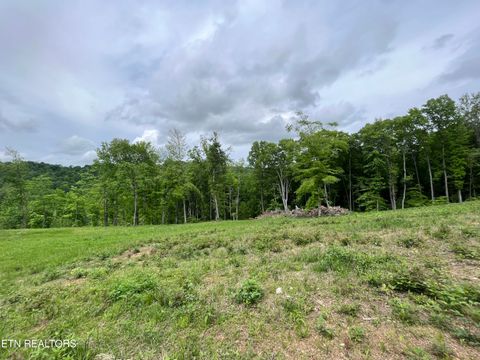 Tiny photo for 123 Ingle Lane, Tazewell, TN 37879 (MLS # 1325872)