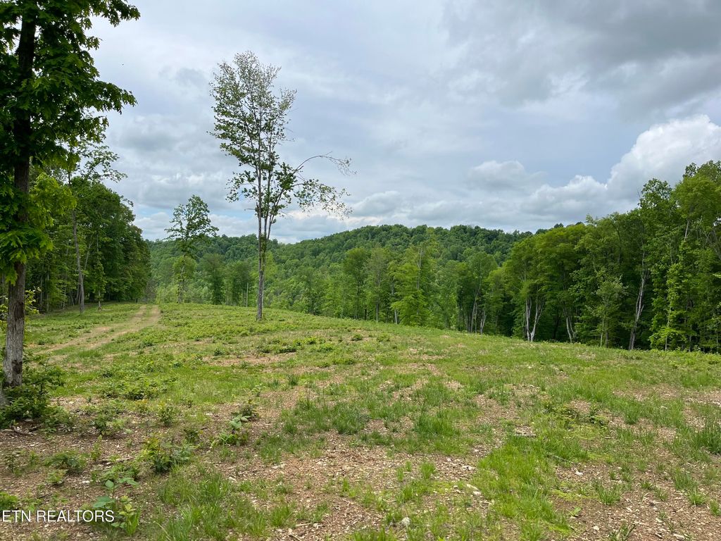 Photo of 123 Ingle Lane, Tazewell, TN 37879 (MLS # 1325872)