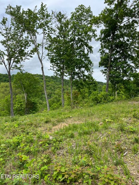 Tiny photo for 123 Ingle Lane, Tazewell, TN 37879 (MLS # 1325872)