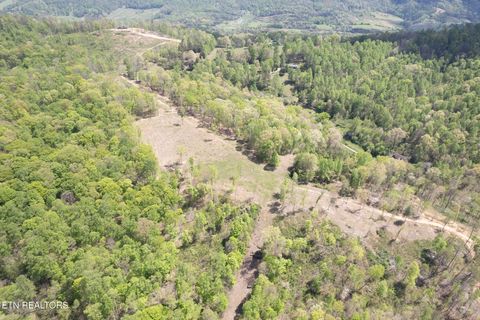 Tiny photo for 123 Ingle Lane, Tazewell, TN 37879 (MLS # 1325872)