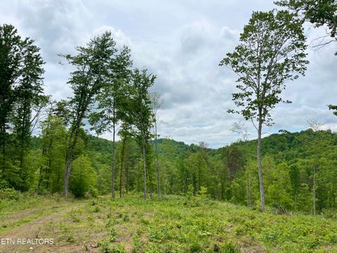 Tiny photo for 123 Ingle Lane, Tazewell, TN 37879 (MLS # 1325872)