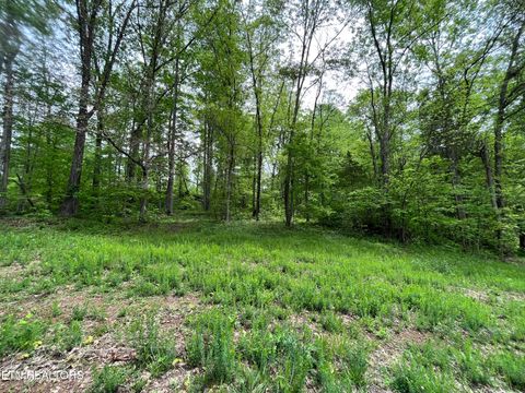 Tiny photo for 123 Ingle Lane, Tazewell, TN 37879 (MLS # 1325872)