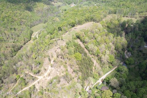 Tiny photo for 123 Ingle Lane, Tazewell, TN 37879 (MLS # 1325872)