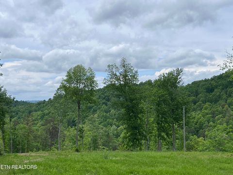 Tiny photo for 123 Ingle Lane, Tazewell, TN 37879 (MLS # 1325872)