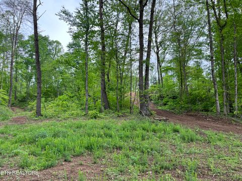 Tiny photo for 123 Ingle Lane, Tazewell, TN 37879 (MLS # 1325872)