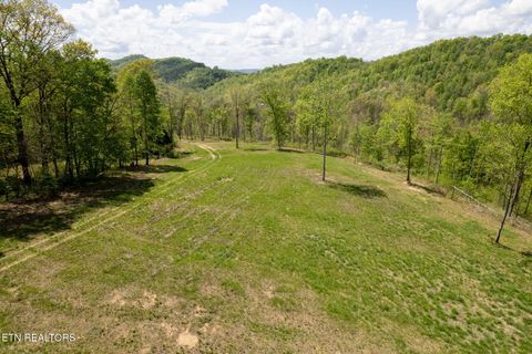 Tiny photo for 123 Ingle Lane, Tazewell, TN 37879 (MLS # 1325872)