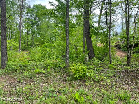 Tiny photo for 123 Ingle Lane, Tazewell, TN 37879 (MLS # 1325872)