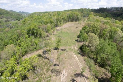 Tiny photo for 123 Ingle Lane, Tazewell, TN 37879 (MLS # 1325872)