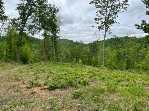 Tiny photo for 123 Ingle Lane, Tazewell, TN 37879 (MLS # 1325872)