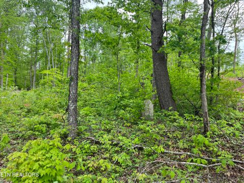 Tiny photo for 123 Ingle Lane, Tazewell, TN 37879 (MLS # 1325872)