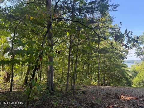 Tiny photo for 434 Igoti Lane, Loudon, TN 37774 (MLS # 1355866)